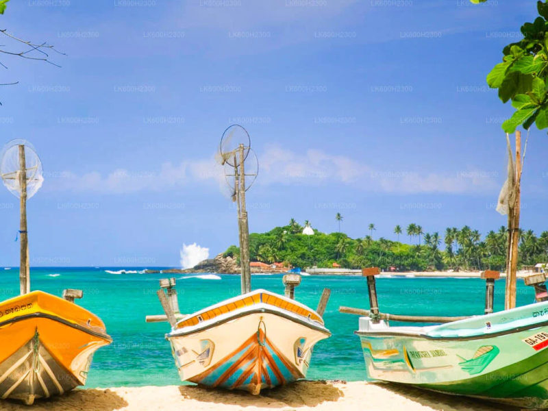 Negombo Lagoon Boat Tour